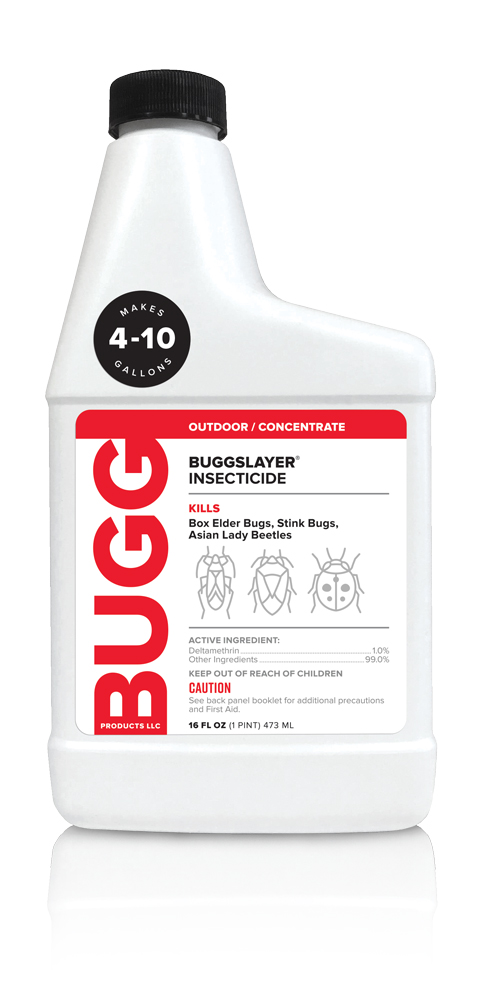 40001_BUGG_Slayer_OutdoorConcentrate_bottle_16oz Box Elder Bug Stink Bug Asian Lady Beetle Killer